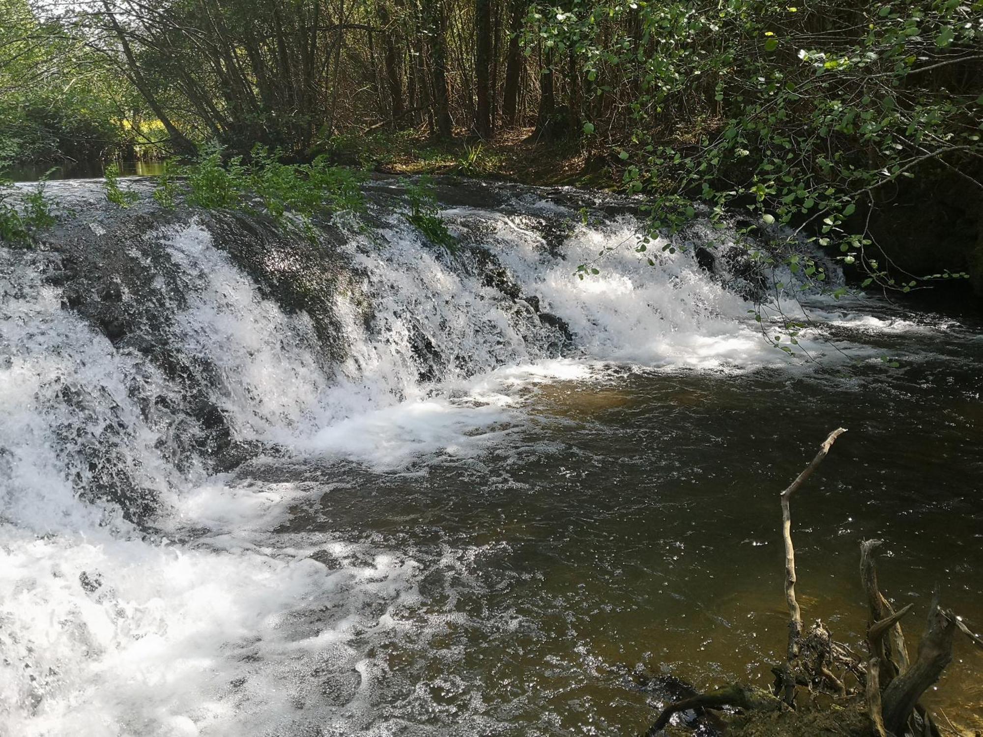 Quinta Das Aguias Aveiro Dış mekan fotoğraf