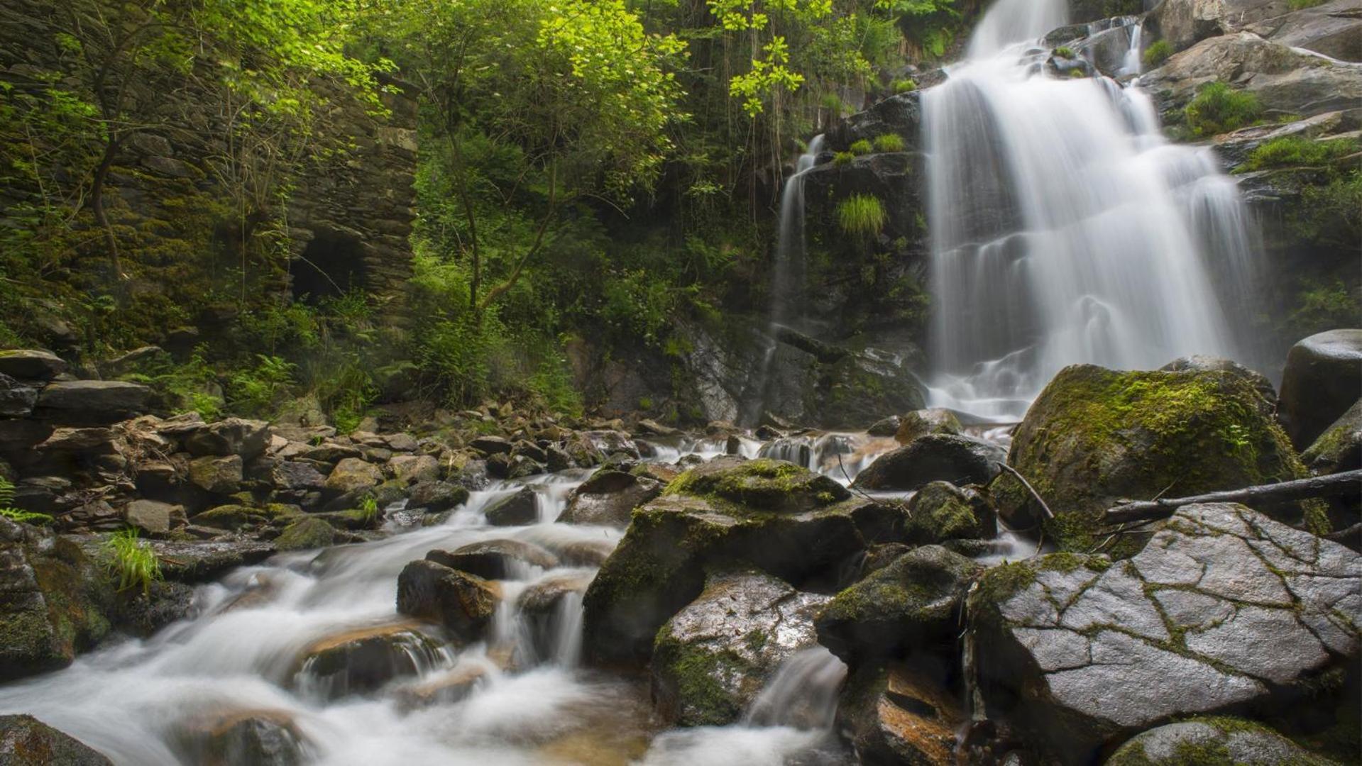 Quinta Das Aguias Aveiro Dış mekan fotoğraf