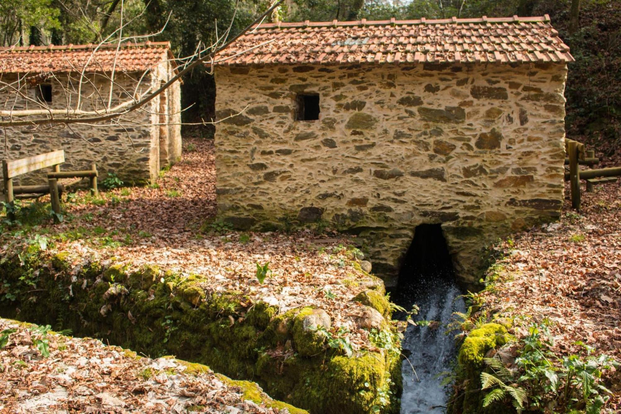 Quinta Das Aguias Aveiro Dış mekan fotoğraf