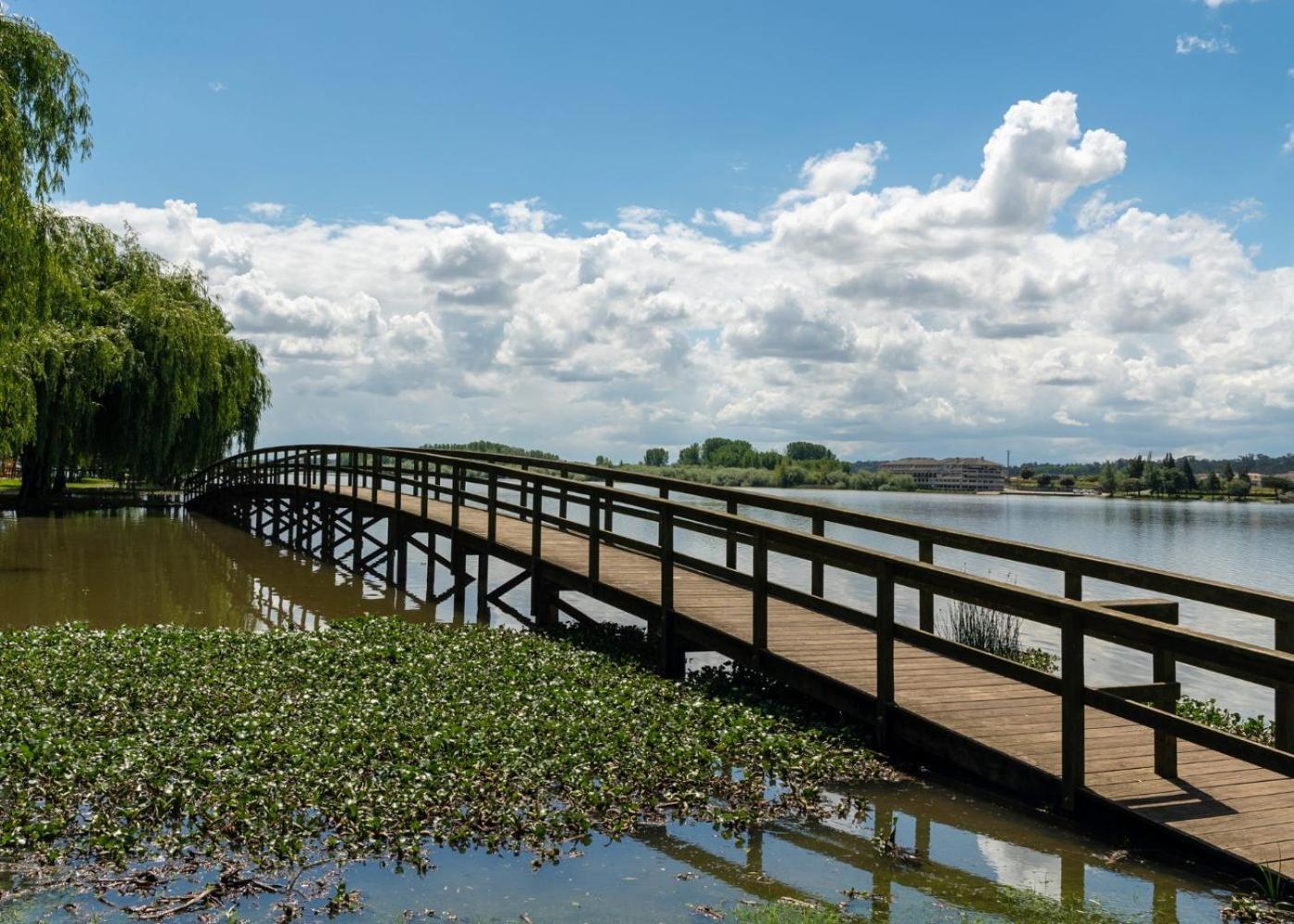 Quinta Das Aguias Aveiro Dış mekan fotoğraf