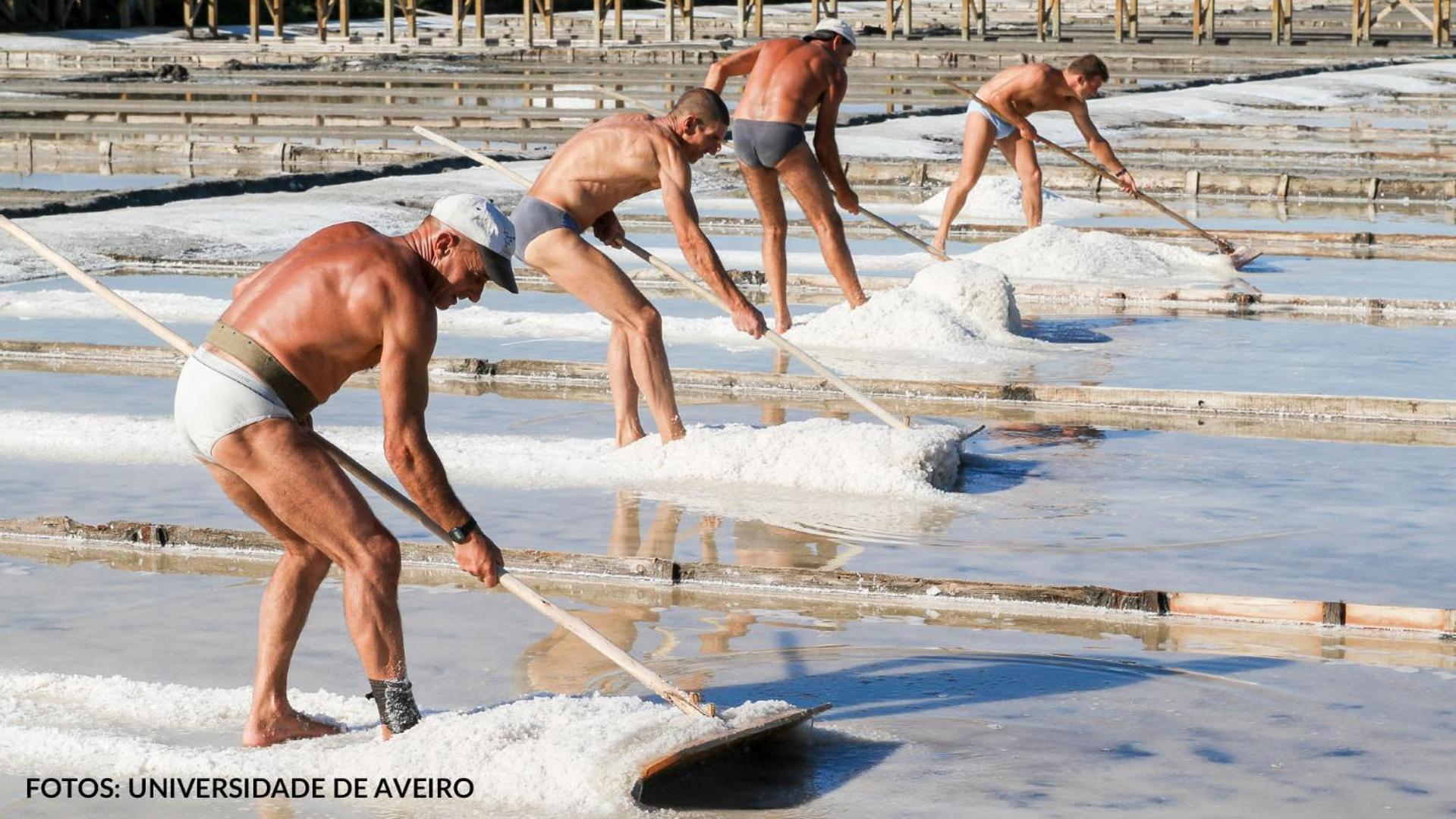 Quinta Das Aguias Aveiro Dış mekan fotoğraf