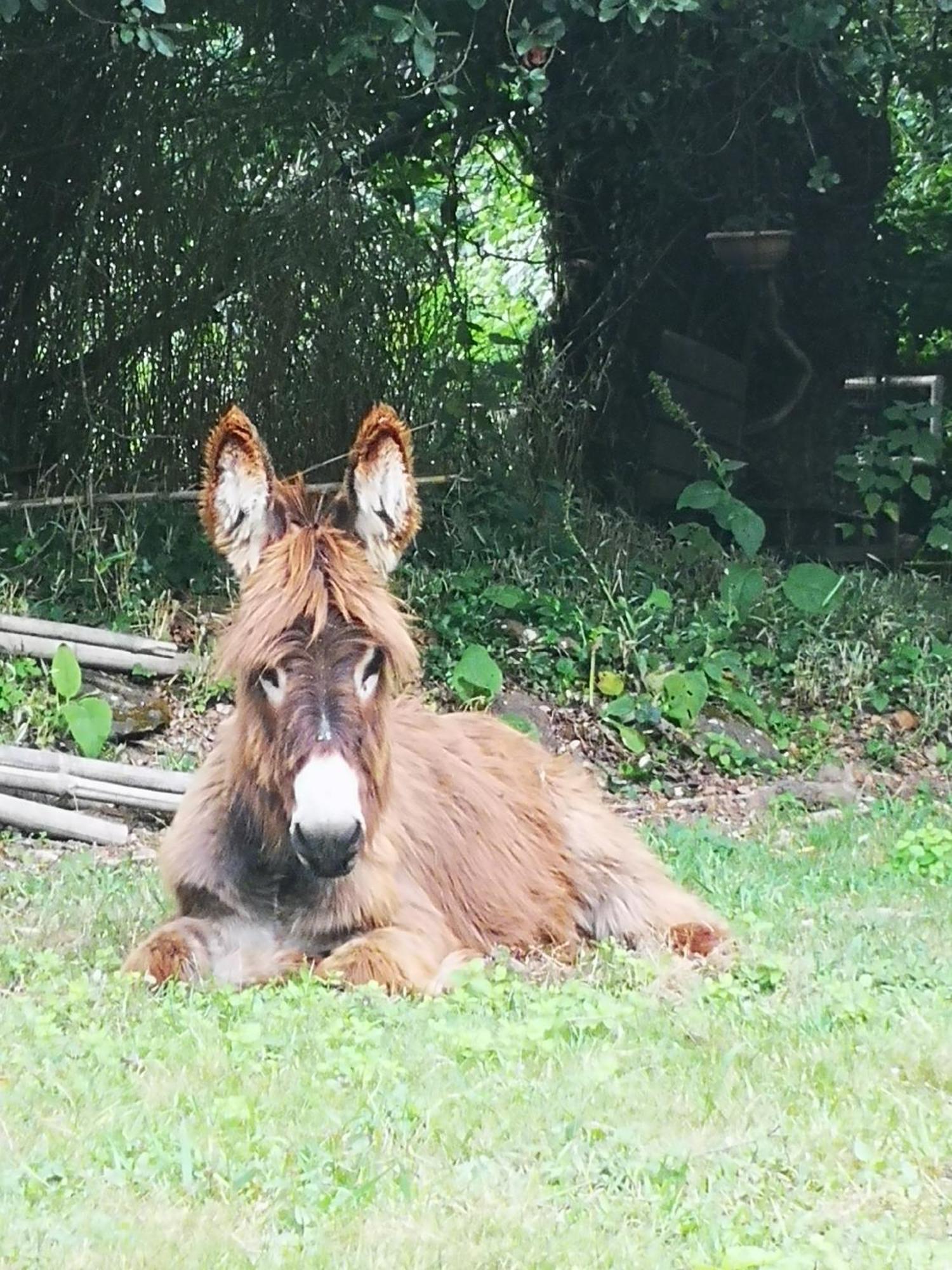 Quinta Das Aguias Aveiro Dış mekan fotoğraf