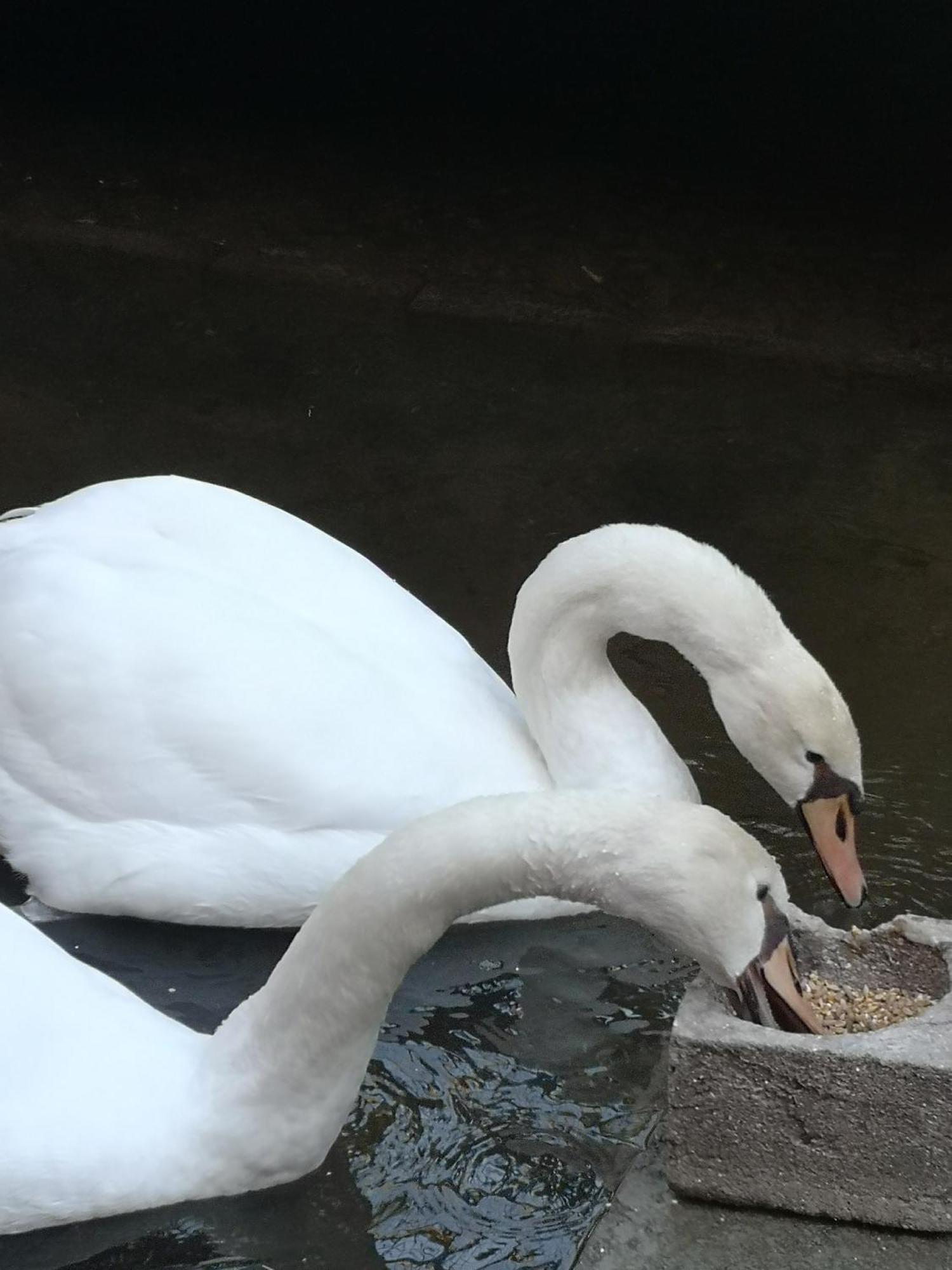 Quinta Das Aguias Aveiro Dış mekan fotoğraf