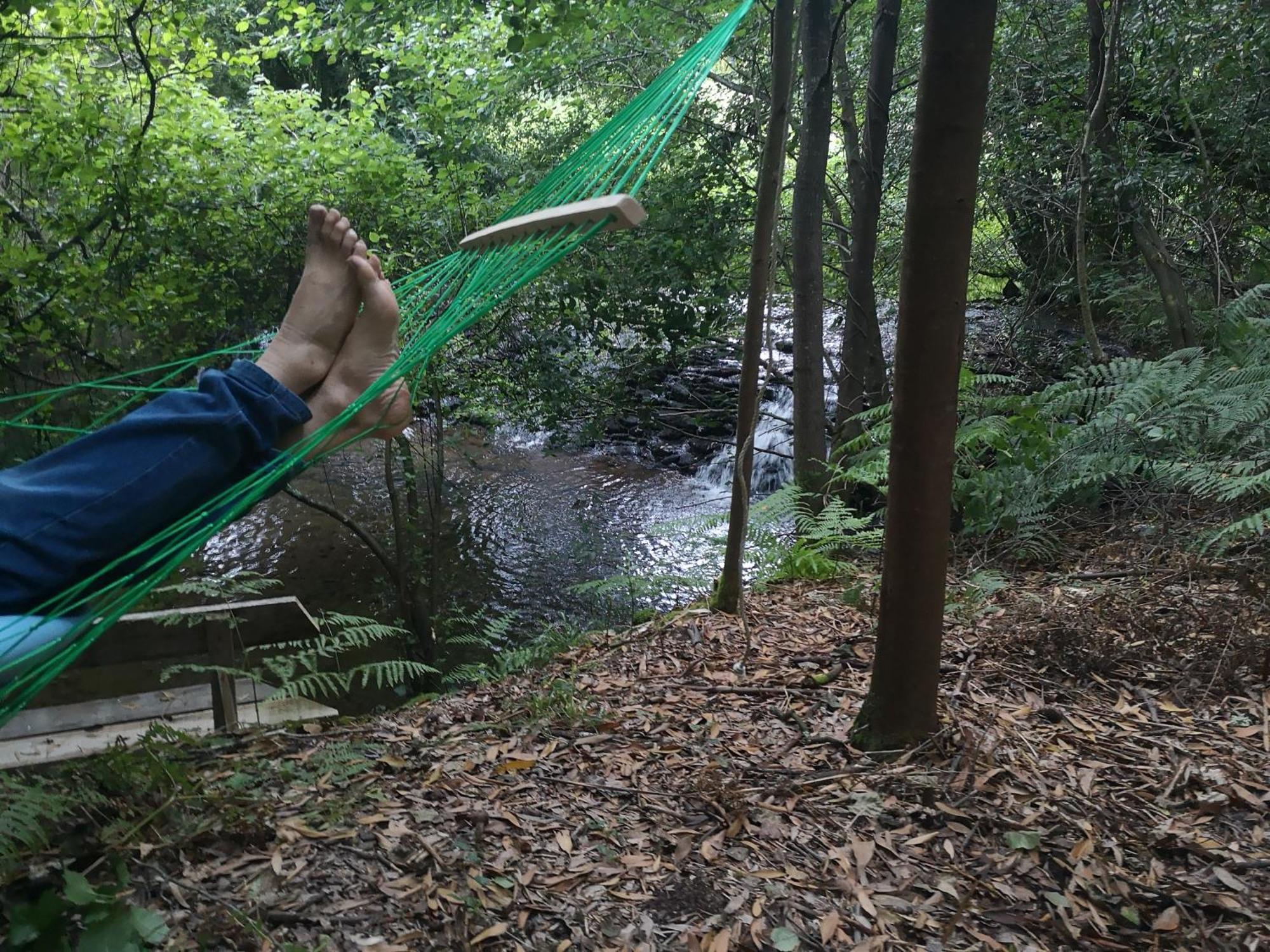 Quinta Das Aguias Aveiro Dış mekan fotoğraf