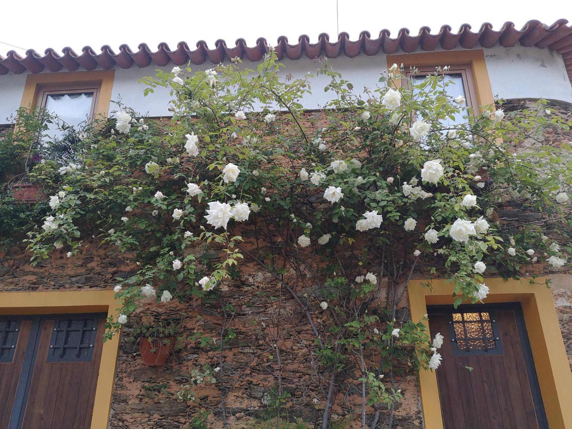 Quinta Das Aguias Aveiro Dış mekan fotoğraf