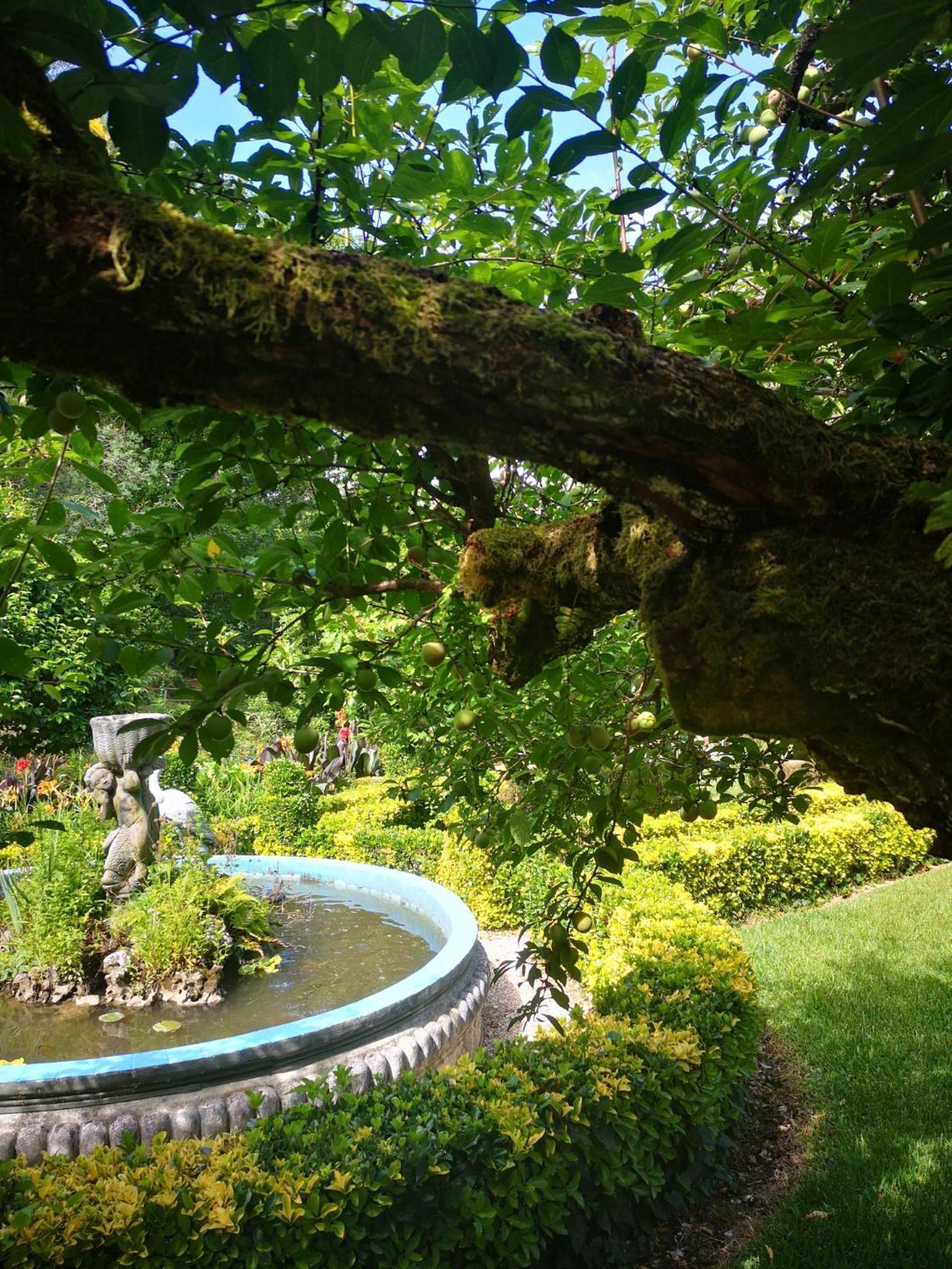 Quinta Das Aguias Aveiro Dış mekan fotoğraf